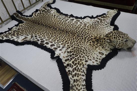 A taxidermic leopard skin rug, with label Vaningen & Vaningen Mysore, L.260cm